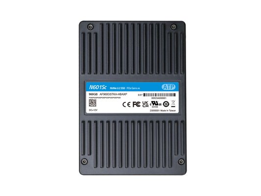 Industrielle U.2 SSD 960GB TLC