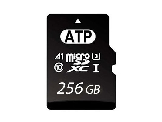 Industrielle MicroSD 256GB TLC